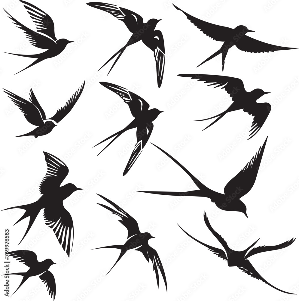 Obraz premium Swallow Birds Flying Silhouettes 