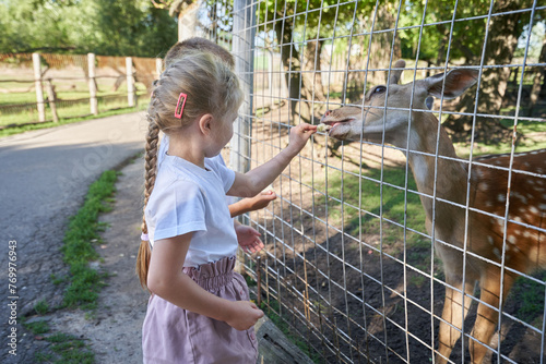 A child at the zoo feeds the animals through the fence