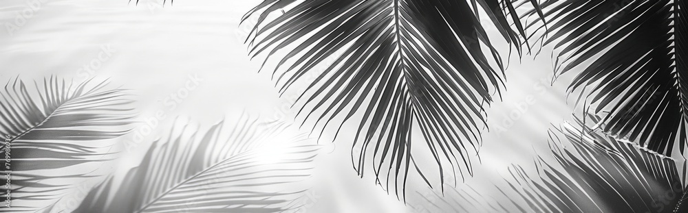 Obraz premium Beautiful abstract background concept banner summer vacation at the beach. Top view of tropical leaf shadows. The shadows of palm leaves on the white sand.