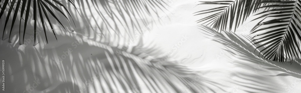 Obraz premium Beautiful abstract background concept banner summer vacation at the beach. Top view of tropical leaf shadows. The shadows of palm leaves on the white sand.