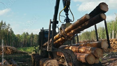 Modern forestry equipment is loading multiple timber logs onto the vehicle. Forestry equipment is stacking up lumber logs. Forestry equipment placing the fallen timber logs into the trunk.