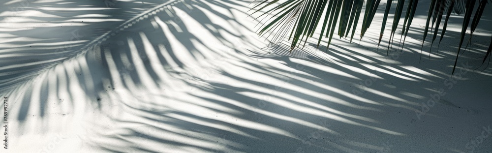 Obraz premium Beautiful abstract background concept banner summer vacation at the beach. Top view of tropical leaf shadows. The shadows of palm leaves on the white sand.