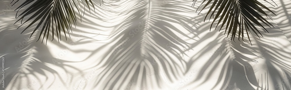 Obraz premium Beautiful abstract background concept banner summer vacation at the beach. Top view of tropical leaf shadows. The shadows of palm leaves on the white sand.