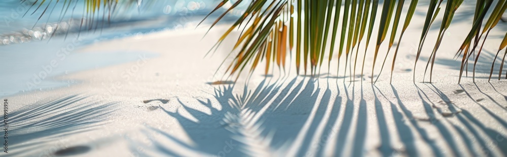 Obraz premium Beautiful abstract background concept banner summer vacation at the beach. Top view of tropical leaf shadows. The shadows of palm leaves on the white sand.