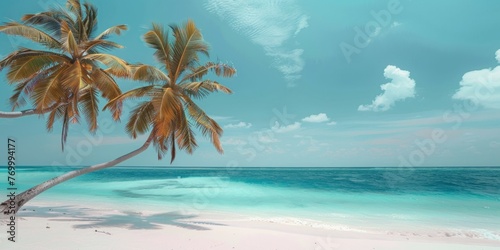 Palm tree on tropical beach with blue sky and white clouds. Summer vacation concept. © AI Studio