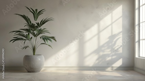 Empty interior room modern concept with pot flower. AI generated image