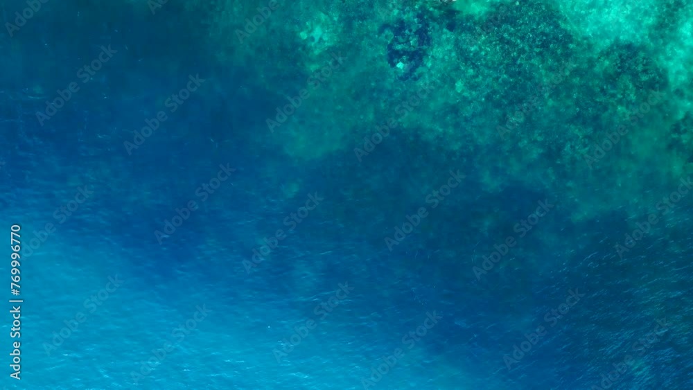 Reef shark black fin in blue turquoise sea. Lovely aerial top view flight drone