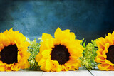 Three large beautiful sunflowers against a blue painterly background with copy space. Front view. 
