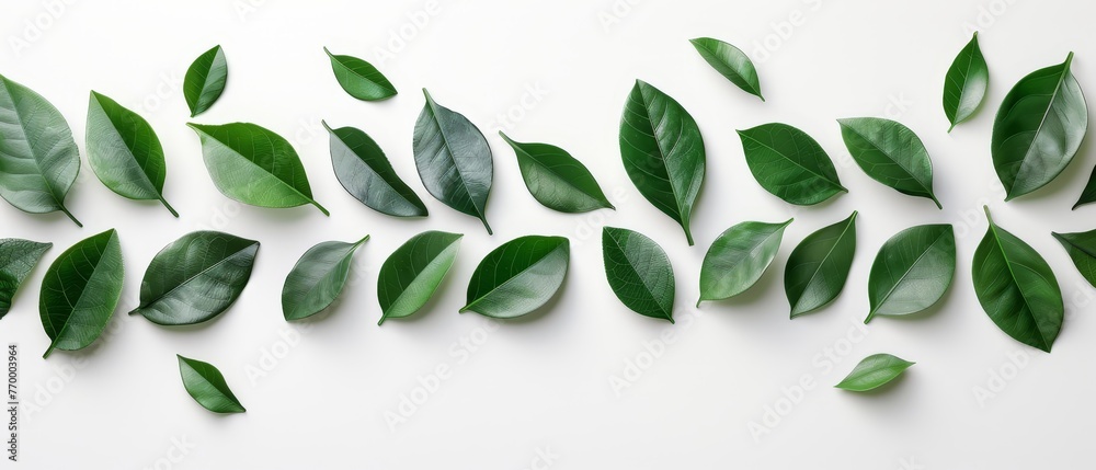   A group of green leaves on a white surface with one green leaf on the left
