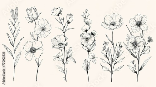 Floral set Collection with flowers hand drawn Design for invit ,Generative ai