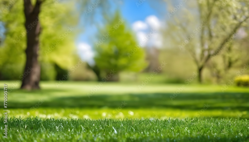 spring landscape with grass and trees.