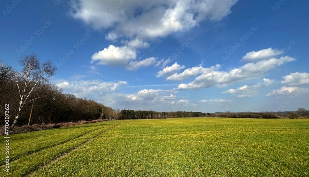 A late winter scene reveals a verdant field under a sky scattered with clouds, bordered by bare trees along Eccup Moor Road in Alwoodley, UK.