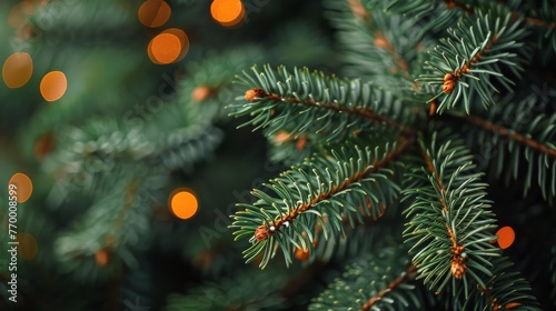 Pine Tree Close Up With Background Lights © olegganko
