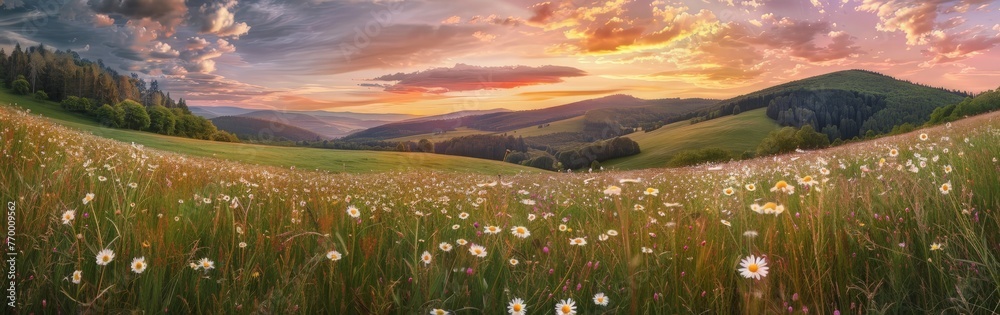Sunset Over Field of Flowers Sunset Over Field of Flowers