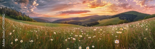 Sunset Over Field of Flowers