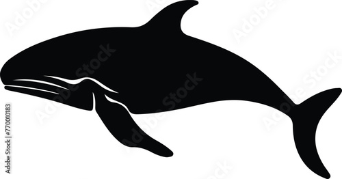 bowhead whale silhouette photo