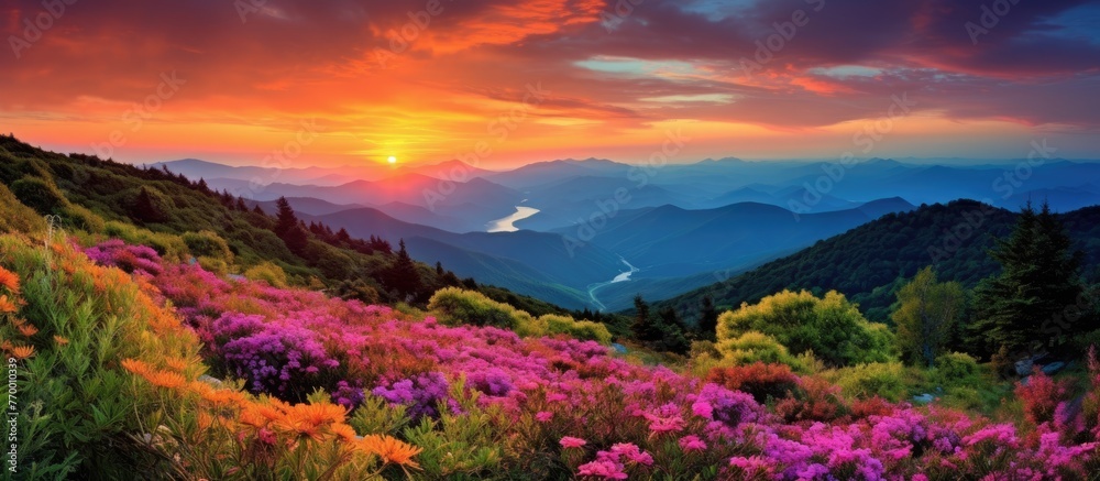 A stunning natural landscape of colorful flowers in a field at sunset, with a backdrop of mountains, sky, clouds, and grass