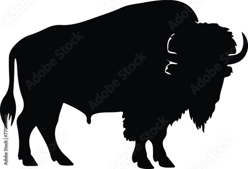 buffalo silhouette