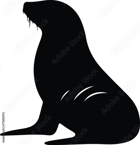 California sea lion silhouette