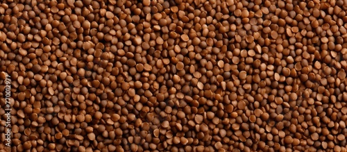 A closeup of a pile of brown beans, a staple food in many cuisines. These seeds are an important ingredient in various dishes and are commonly grown in agriculture