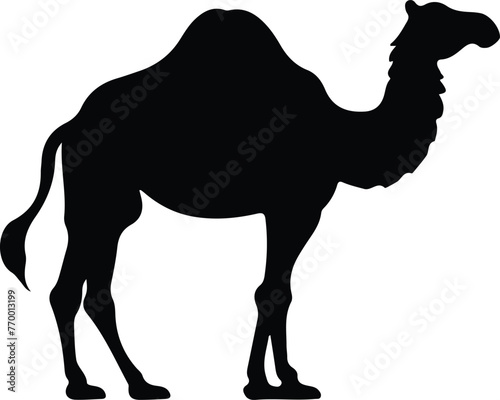 camel silhouette