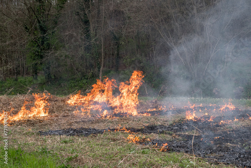 Small fire spreads in a field of dry grass. Nature on fire, front view. Daily shot. Forest fire flames, smoke clouds, grass fire in field.
