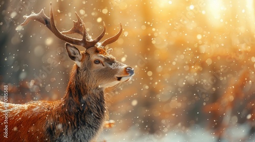 A deer is standing in the snow with its head up © Classy designs