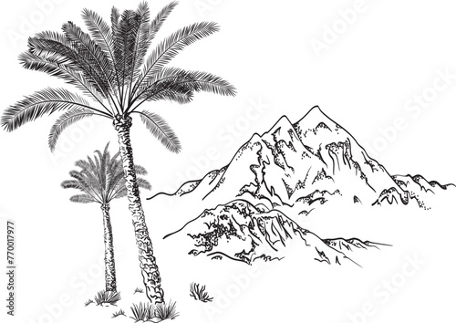 Palm trees and mountains. Hand drawn vector illustration