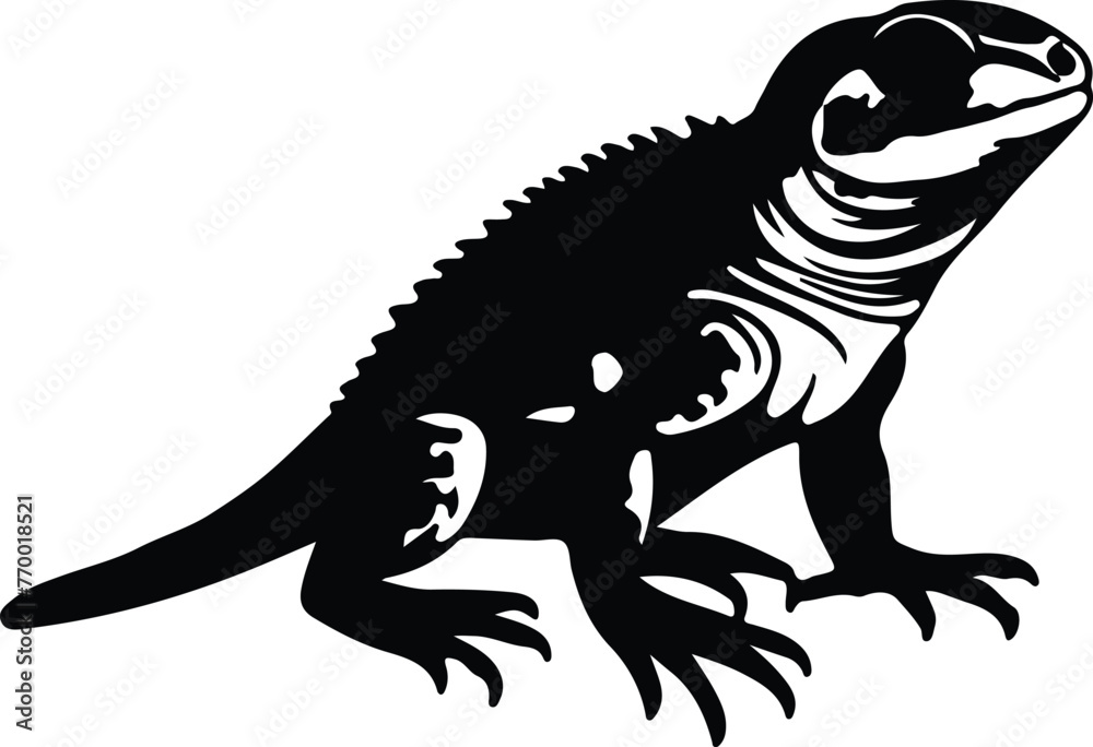 Fototapeta premium collared lizard silhouette