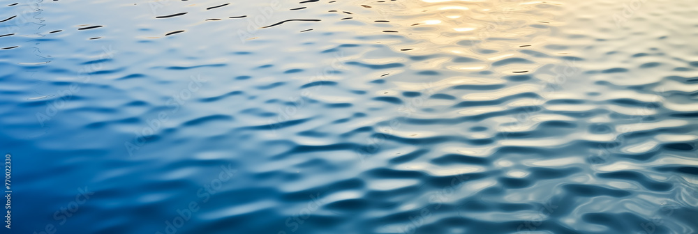The water surface reflects the golden sunset, creating ripples and reflections on its tranquil blue background. Banner illustration with copy space for text. The water surface reflects the golden sunset, creating ripples and reflections on its tranquil blue background. Banner illustration with copy space for text.