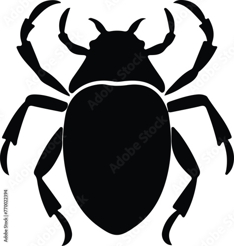 darkling beetle silhouette photo