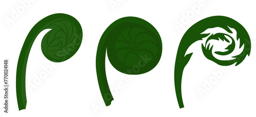 fiddlehead. Young fern pods. Vector stock illustration. Food. Plant. Escapes. Isolated on a white background.