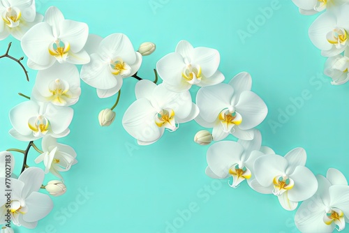 Lemon Orchid Turquoise gradient background barely noticeable thin grainy noise texture, minimalistic design pattern backdrop