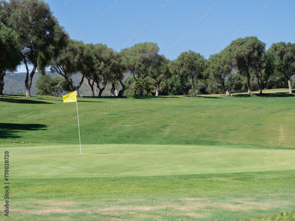 Obraz premium View of golf course with green grass and forest with beautiful putting green with rich green landscape