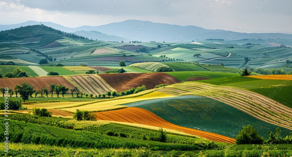Rural hillside covered in a quilt of agricultural fields, with different crops creating patterns of color and texture.