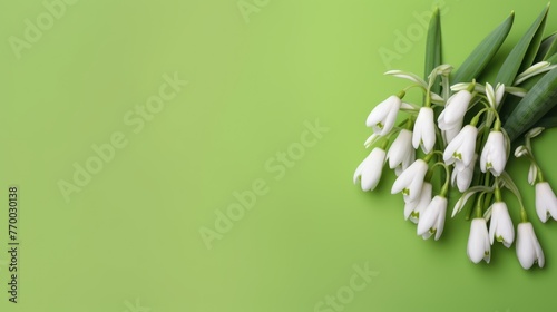 Spring time flowers like snowdrops (Galanthus nivalis), isolated on colorful simple flay lay background, photo