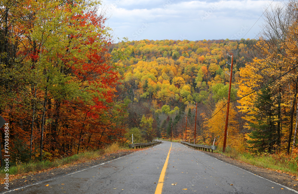 Fototapeta premium Asphalt road in autumn forest.