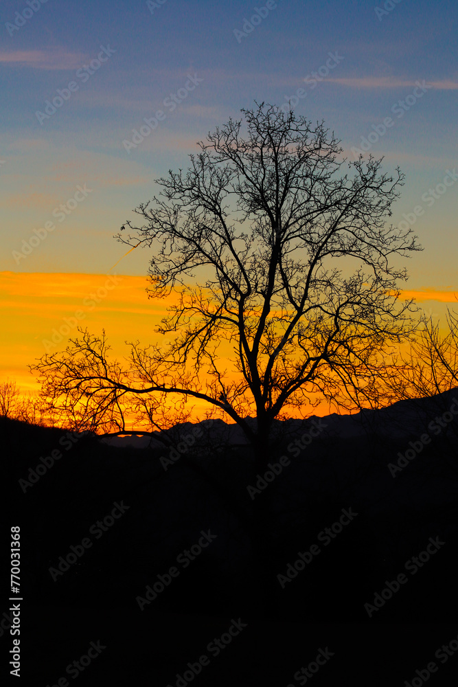 Capturing the Serenity of Sunset Capturing the Serenity of Sunset