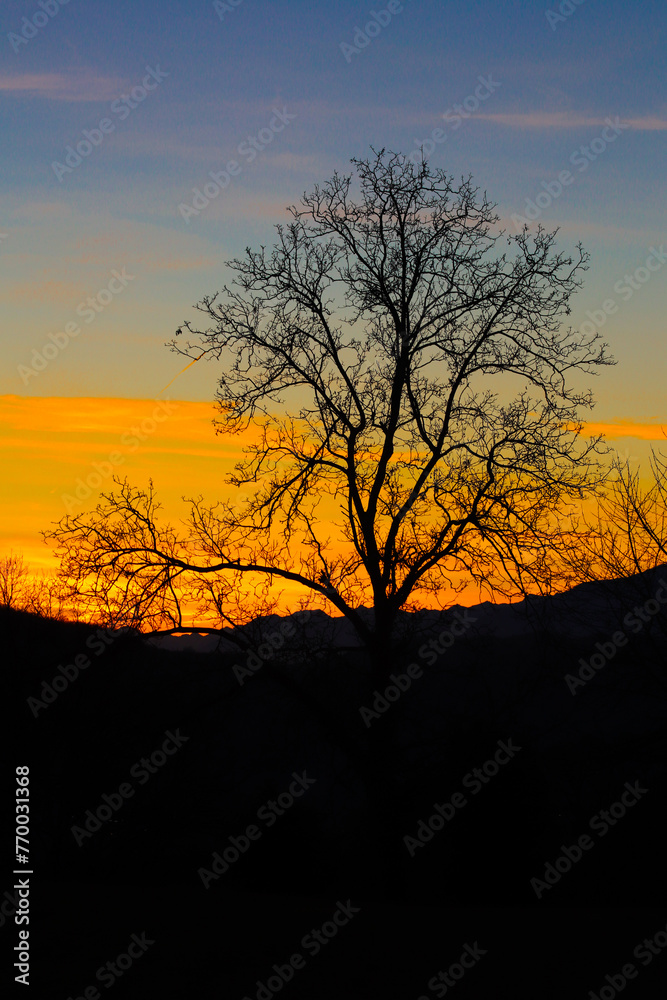 Capturing the Serenity of Sunset