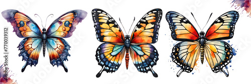 Set of butterfly collection colored. Set of beautiful butterflies watercolor isolated on white background. Orange  pink  green and blue  butterfly vector illustration