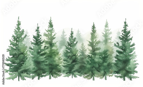 Simple watercolor clipart of an evergreen forest with pine trees  in muted greens and earth tones isolated on a white background