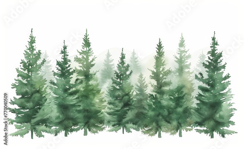 Simple watercolor clipart of an evergreen forest with pine trees, in muted greens and earth tones isolated on a white background