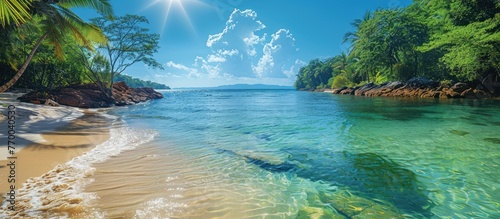 Beautiful view of the tropical jungle river at the beach of Masoala National Park in Madagascar photo