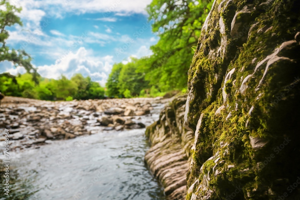 Beautiful mountain river and stone wall with green trees