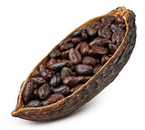Cocoa pods and cocoa beans chocolate isolated on a white background. Cocoa bean with clipping path