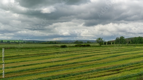 green mown field, cloudy weather