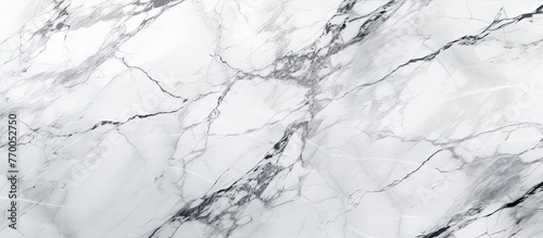 A closeup image of a snowy white marble texture resembling a frozen slope. The intricate pattern mimics the natural beauty of a winter landscape