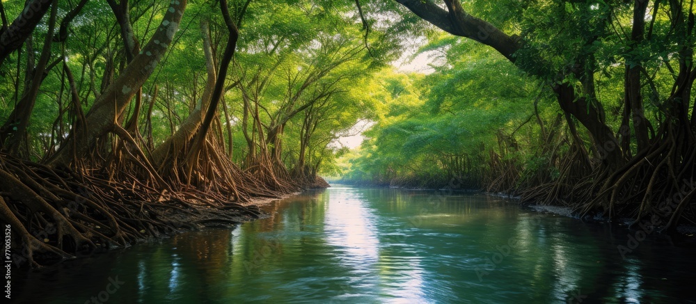 A river flows through a vibrant forest, with lush greenery and diverse plant life along its banks. The natural landscape includes a riparian zone rich in terrestrial plants and trees