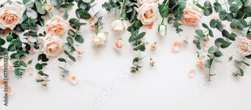 Arrangement of flowers with roses and eucalyptus branches on a white backdrop. Flat lay design with a top-down view and space for text. © Vusal