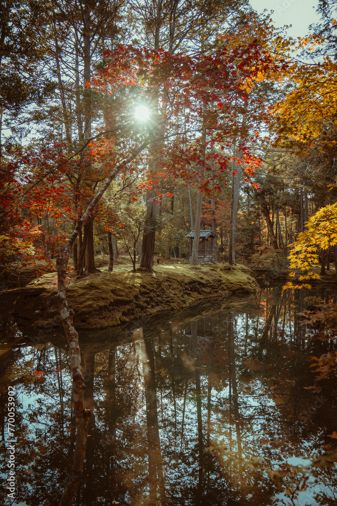 Sunlight dazzles through autumn leaves over a tranquil Japanese pond, with a shrine hidden among the trees.